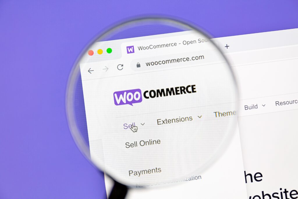 e-commerce site audit