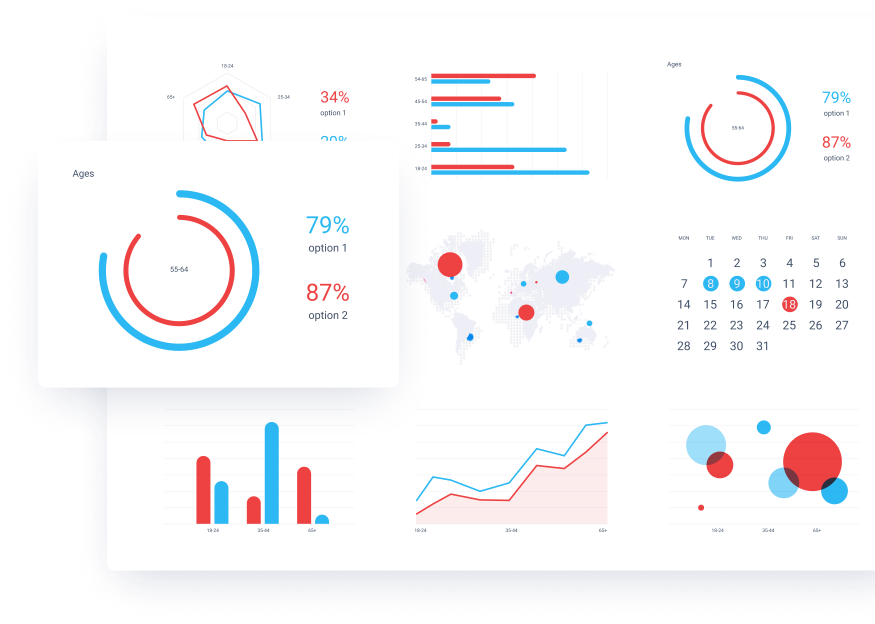 Roweb Data Analytics Services