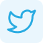 Social Media Icon Twitter