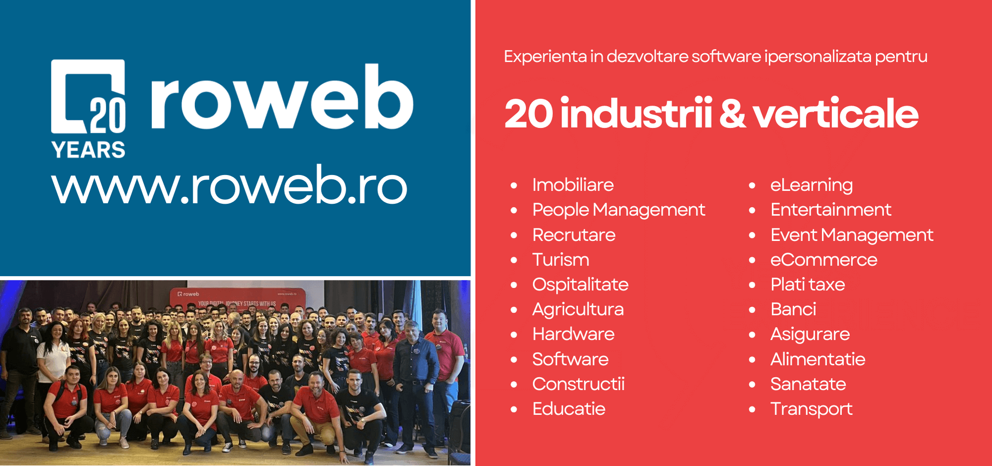 Roweb experienta 20 industrii verticale